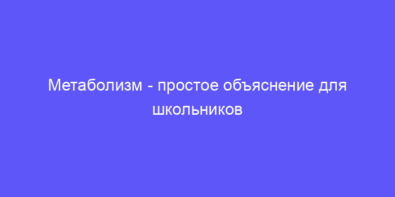 метаболизм: объясняем простыми словами!