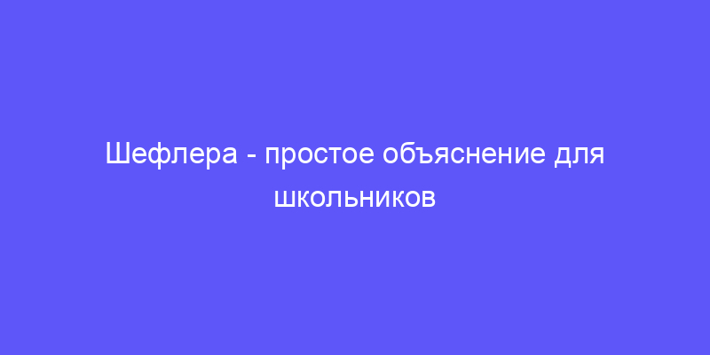 шефлера: объясняем простыми словами!