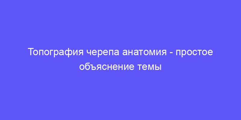 топография черепа анатомия: объясняем простыми словами!