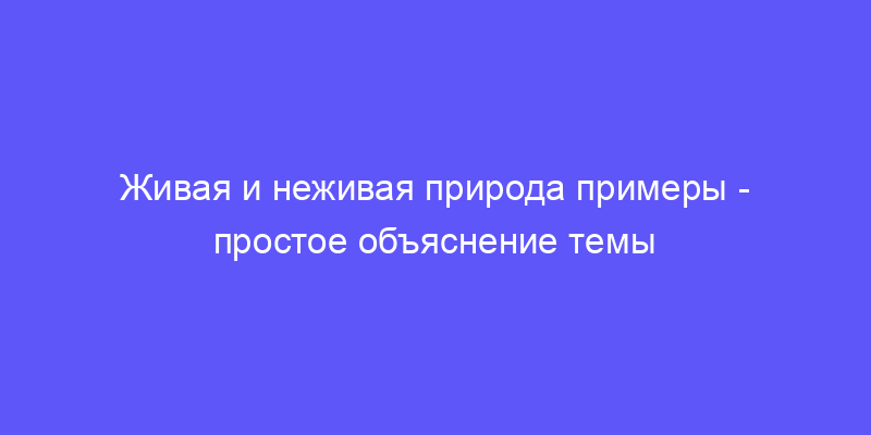 живая и неживая природа примеры: объясняем простыми словами!